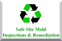 mold inspections 